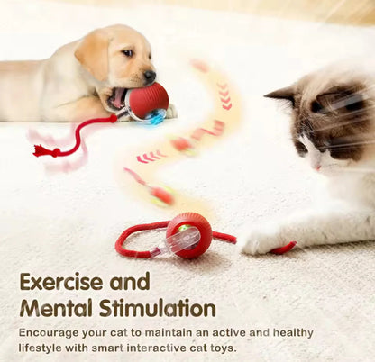 🎅Christmas Sale 50% OFF 🎄50K+；Cat&Dog toy ball cat&dog toy electric moving ball toy
