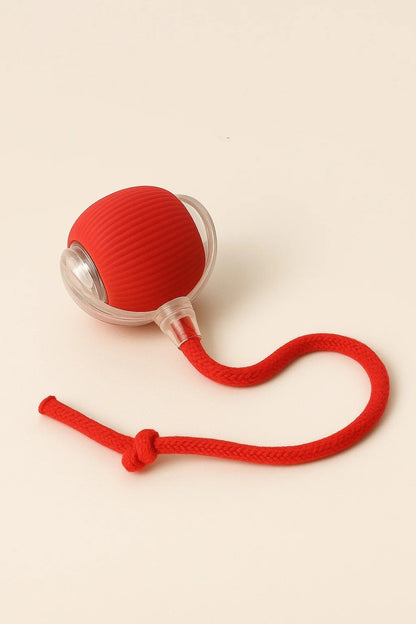 🎅Christmas Sale 50% OFF 🎄50K+；Cat&Dog toy ball cat&dog toy electric moving ball toy